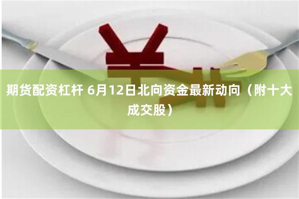 期货配资杠杆 6月12日北向资金最新动向（附十大成交股）